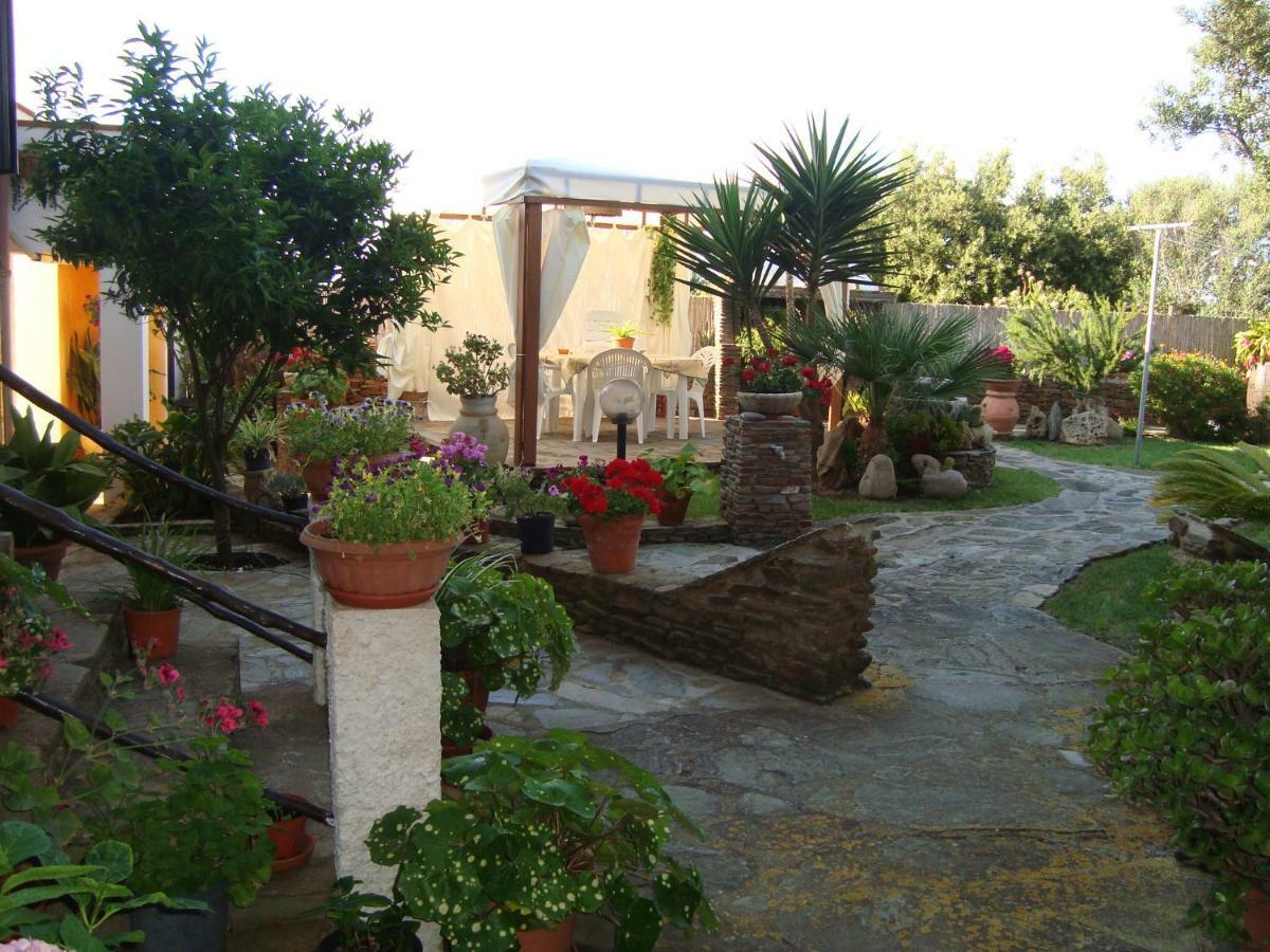 Solmar Apartment Palmadula Exterior foto